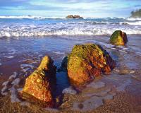 Rainbow Rocks
